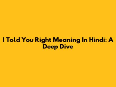 "I Told You Right" Meaning In Hindi: A Deep Dive