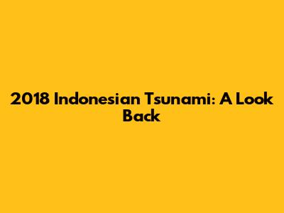 2018 Indonesian Tsunami: A Look Back