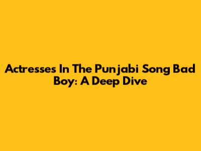 Actresses In The Punjabi Song 'Bad Boy': A Deep Dive
