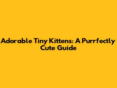 Adorable Tiny Kittens: A Purrfectly Cute Guide