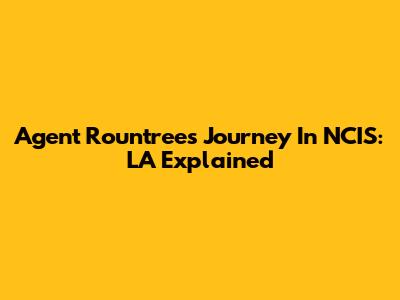 Agent Rountree's Journey In NCIS: LA Explained