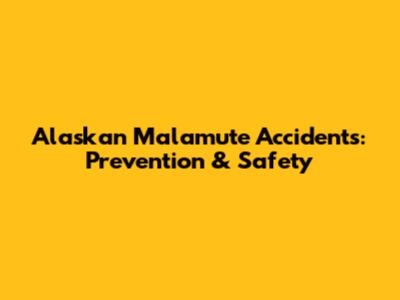 Alaskan Malamute Accidents: Prevention & Safety
