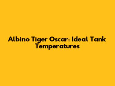 Albino Tiger Oscar: Ideal Tank Temperatures