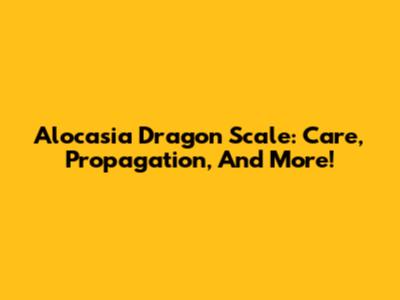 Alocasia Dragon Scale: Care, Propagation, And More!