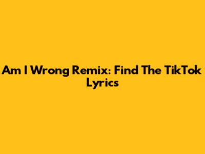 Am I Wrong Remix: Find The TikTok Lyrics