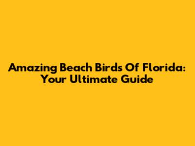 Amazing Beach Birds Of Florida: Your Ultimate Guide