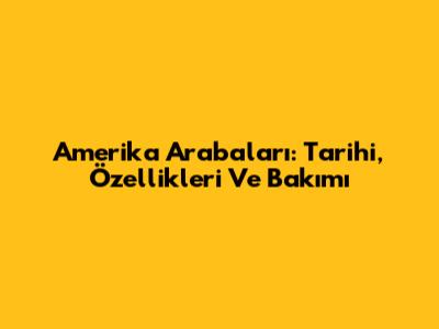 Amerika Arabaları: Tarihi, Özellikleri Ve Bakımı