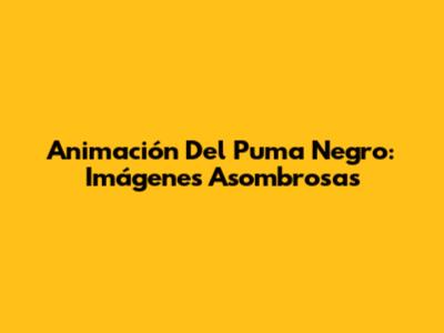 Animación Del Puma Negro: Imágenes Asombrosas