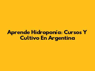 Aprende Hidroponía: Cursos Y Cultivo En Argentina