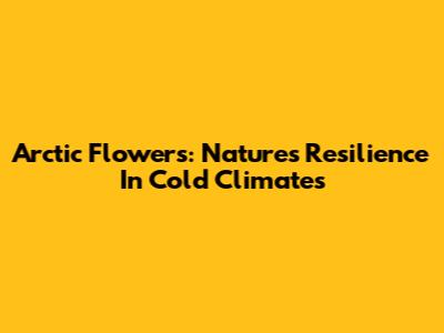 Arctic Flowers: Nature's Resilience In Cold Climates