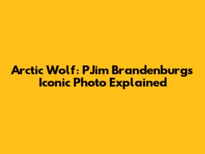 Arctic Wolf: PJim Brandenburg's Iconic Photo Explained
