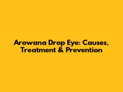 Arowana Drop Eye: Causes, Treatment & Prevention