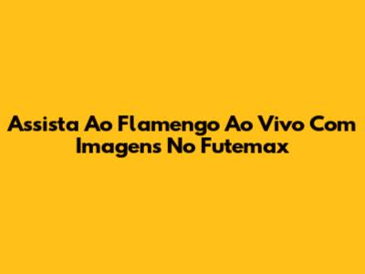 Assista Ao Flamengo Ao Vivo Com Imagens No Futemax