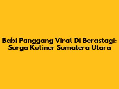 Babi Panggang Viral Di Berastagi: Surga Kuliner Sumatera Utara