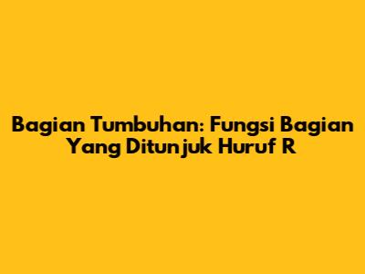 Bagian Tumbuhan: Fungsi Bagian Yang Ditunjuk Huruf R