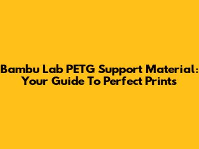 Bambu Lab PETG Support Material: Your Guide To Perfect Prints