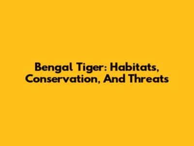 Bengal Tiger: Habitats, Conservation, And Threats