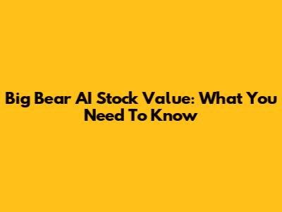 Big Bear AI Stock Value: What You Need To Know