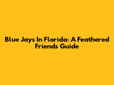 Blue Jays In Florida: A Feathered Friend's Guide