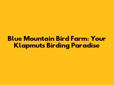 Blue Mountain Bird Farm: Your Klapmuts Birding Paradise