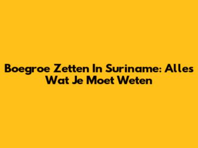 Boegroe Zetten In Suriname: Alles Wat Je Moet Weten