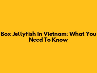 Box Jellyfish In Vietnam: What You Need To Know