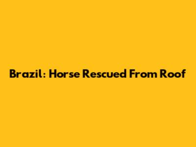 Brazil: Horse Rescued From Roof