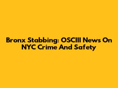 Bronx Stabbing: OSCIII News On NYC Crime And Safety