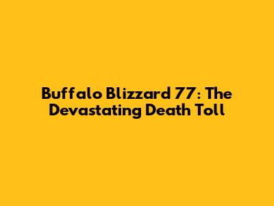 Buffalo Blizzard '77: The Devastating Death Toll