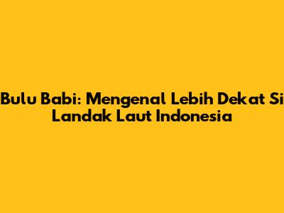 Bulu Babi: Mengenal Lebih Dekat Si Landak Laut Indonesia