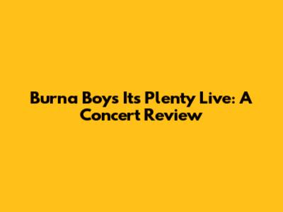 Burna Boy's 'It's Plenty' Live: A Concert Review