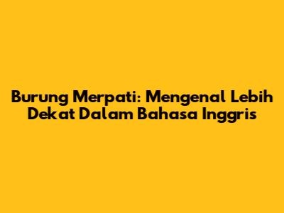 Burung Merpati: Mengenal Lebih Dekat Dalam Bahasa Inggris