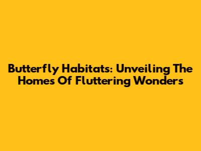 Butterfly Habitats: Unveiling The Homes Of Fluttering Wonders