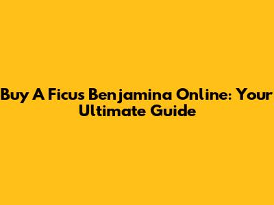 Buy A Ficus Benjamina Online: Your Ultimate Guide