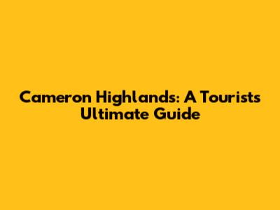Cameron Highlands: A Tourist's Ultimate Guide