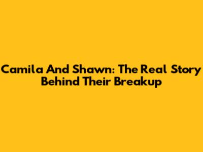 Camila And Shawn: The Real Story Behind Their Breakup
