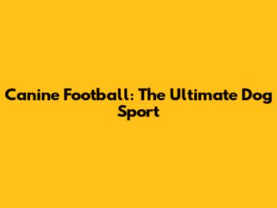 Canine Football: The Ultimate Dog Sport