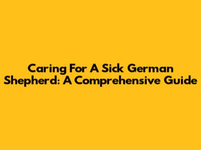 Caring For A Sick German Shepherd: A Comprehensive Guide