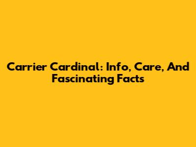 Carrier Cardinal: Info, Care, And Fascinating Facts