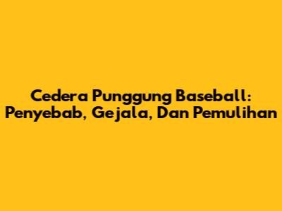 Cedera Punggung Baseball: Penyebab, Gejala, Dan Pemulihan