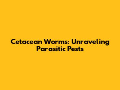 Cetacean Worms: Unraveling Parasitic Pests