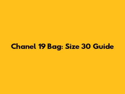 Chanel 19 Bag: Size 30 Guide