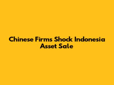 Chinese Firm's Shock Indonesia Asset Sale