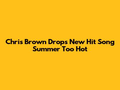 Chris Brown Drops New Hit Song 'Summer Too Hot'