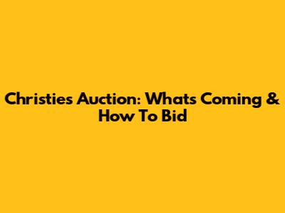 Christie's Auction: What's Coming & How To Bid