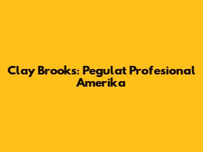 Clay Brooks: Pegulat Profesional Amerika