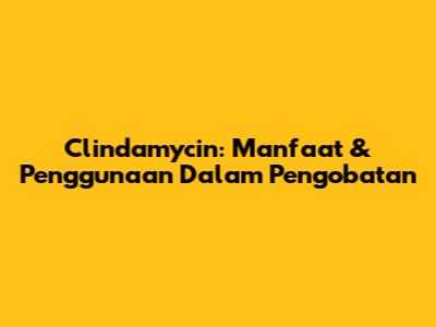 Clindamycin: Manfaat & Penggunaan Dalam Pengobatan