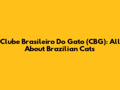 Clube Brasileiro Do Gato (CBG): All About Brazilian Cats