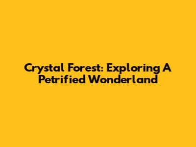Crystal Forest: Exploring A Petrified Wonderland