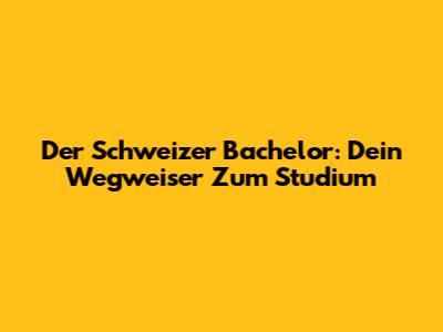 Der Schweizer Bachelor: Dein Wegweiser Zum Studium